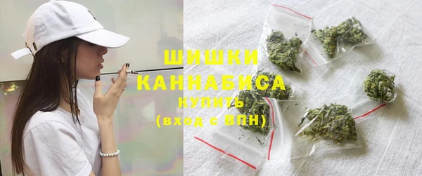 дживик Бородино