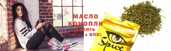 дживик Бородино