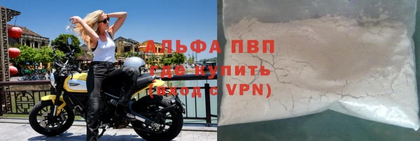 прущие грибы Бронницы