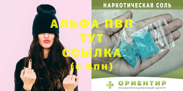 дживик Бородино