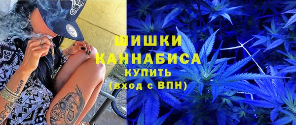 дживик Бородино