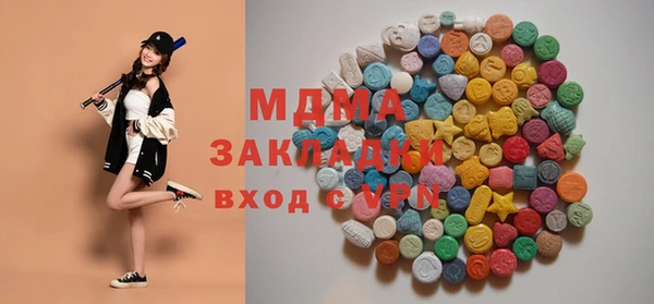 дживик Бородино