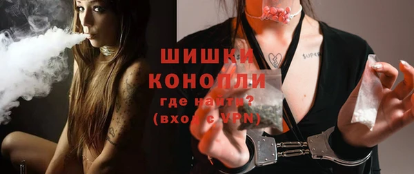 прущие грибы Бронницы