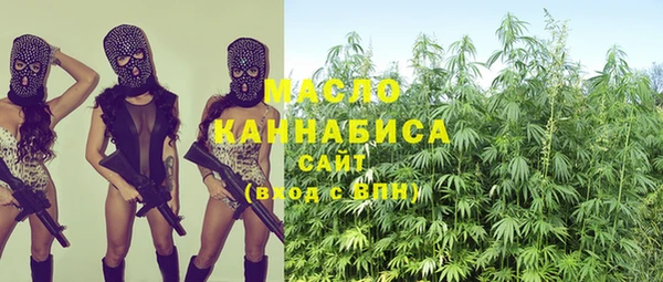 дживик Бородино