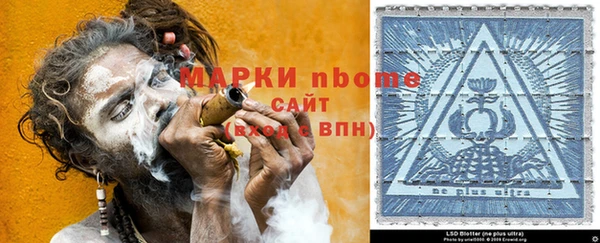 прущие грибы Бронницы