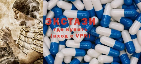 дживик Бородино