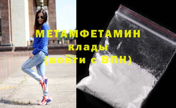 прущие грибы Бронницы