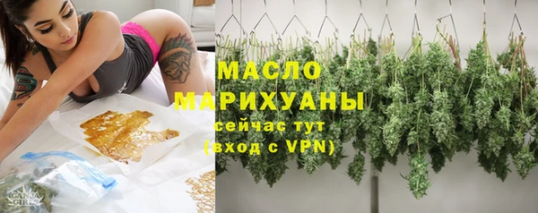 дживик Бородино