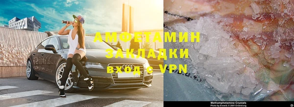 прущие грибы Бронницы