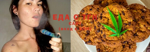 дживик Бородино