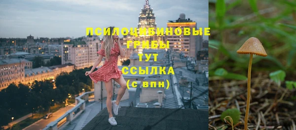 бутират Бугульма