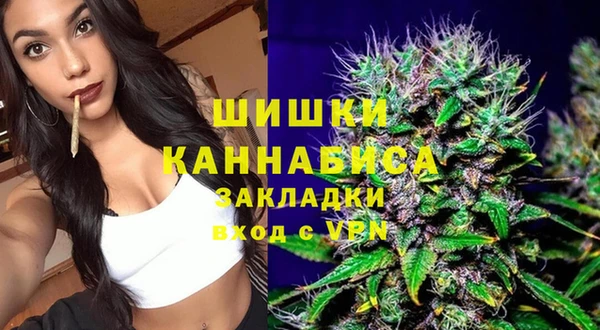 дживик Бородино
